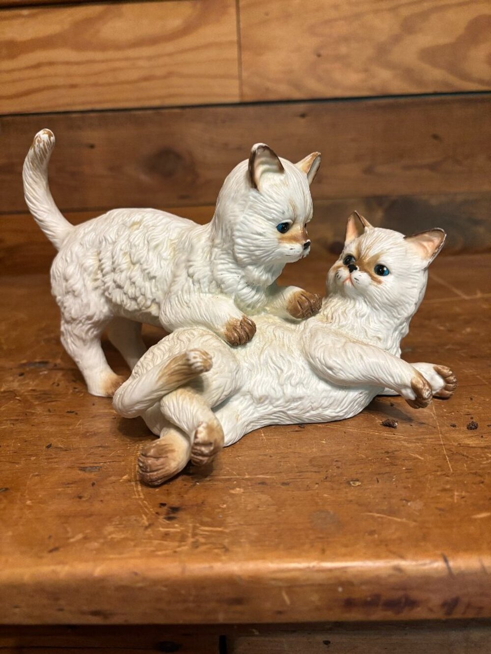 Playful Kittens